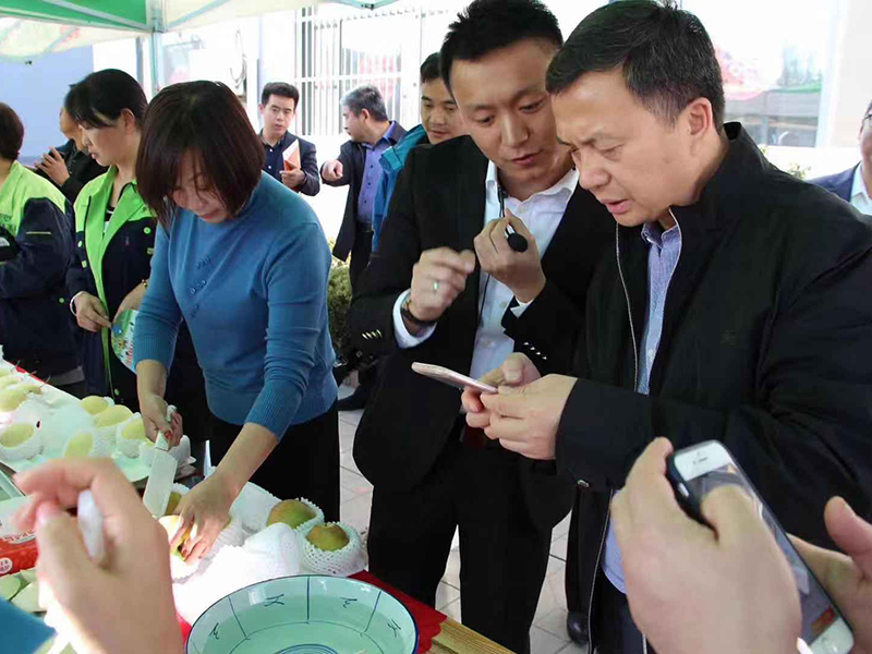 各地高管來到辛集市翠王果品有限公司進行調(diào)研考察